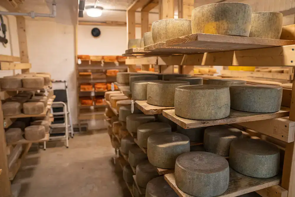 Racks of aging cheese in a traditional cellar environment