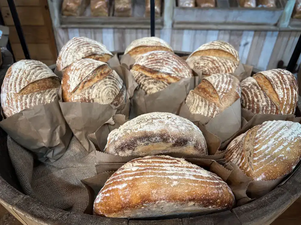 Freshly baked artisan sourdough loaves